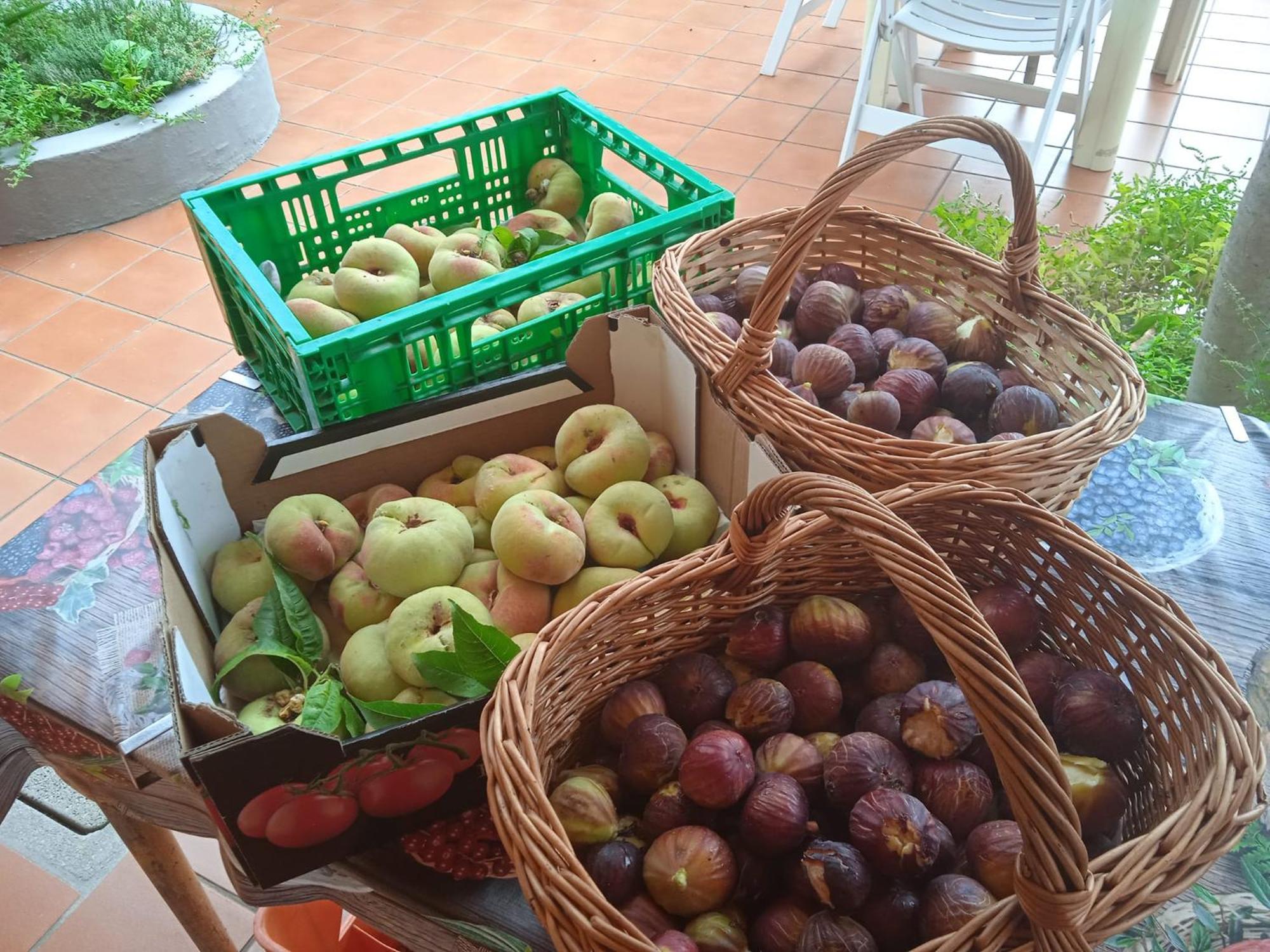 Locanda Dell'Amicizia سيكيتو المظهر الخارجي الصورة