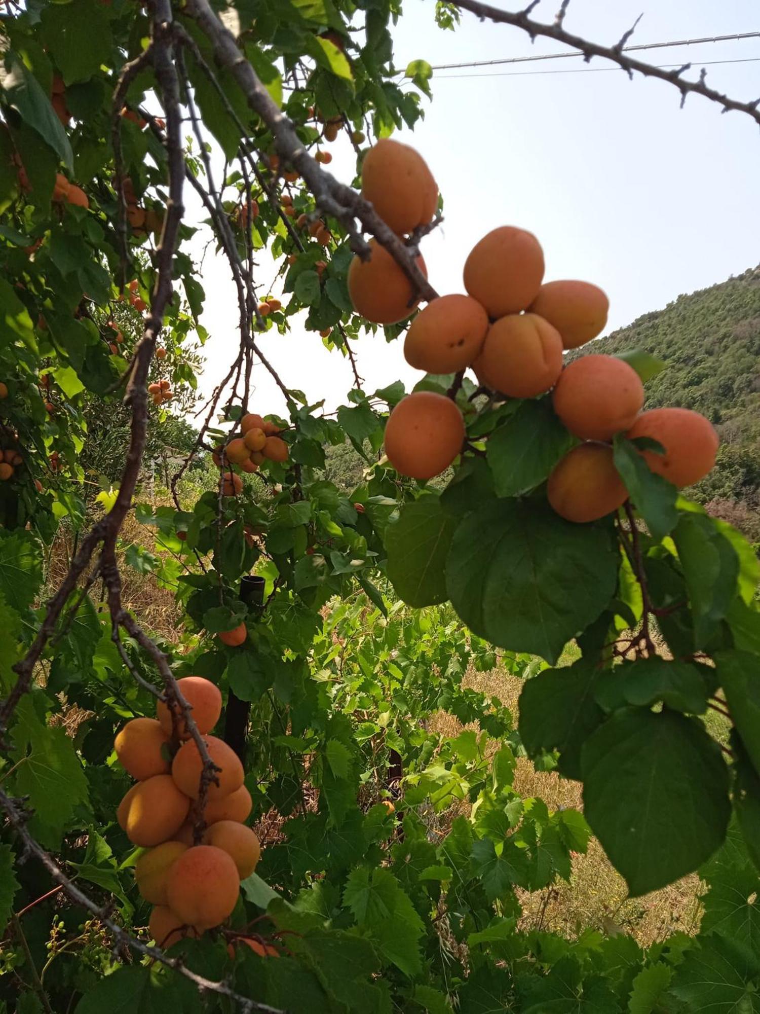 Locanda Dell'Amicizia سيكيتو المظهر الخارجي الصورة